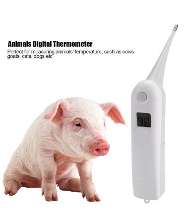 Pet Thermometer Dog Thermometer Fast Digital Veterinary Thermometer Pet Thermometer For Dogs Cats Horse Cattle Pigs Birds Sheep - Buy Online on GoSupps.com