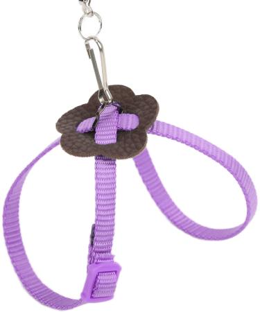 Adjustable Lizard Harness - Bearded Dragon Leash for Reptile Walking Control - Buy Online on GoSupps.com