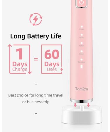 7am2m Sonic Electric Toothbrush with 6 Brush Heads for Adults and Kids Wireless Fast Charge One Charge for 60 Days 5 Modes with 2 Minutes Built in Smart Timer Electric Toothbrushes(Pink) No Travel Case Pink - Buy Online on GoSupps.com