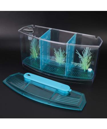 Aquarium Fish Tank Transparent Aquarium Fish Tank LED Acrylic Three Divisions Breeding Isolation Box for Small Fishes Mini Breeding Fish Tank (Blue) - Buy Online on GoSupps.com