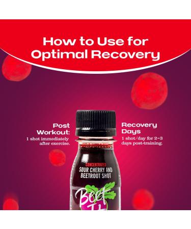 Beet It Regen Cherry+ Energy Shots 70ml Beet Juice & Tart Cherry Juice Concentrate to Boost Muscle Recovery & Endurance 200mg Dietary Nitrates Pack of 15 Recovery Cherry+ Pack of 15 - Buy Online on GoSupps.com