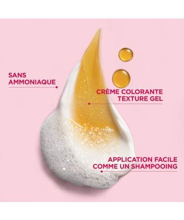 Garnier Color Shampoo Retouch Permanent Hair Color Chestnut - 100% Grey Coverage - Lasts Up to 4 Weeks - Buy Online on GoSupps.com