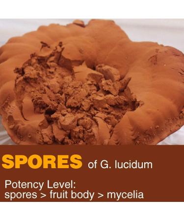 Yuanziyuanfang Red Reishi Mushroom Spore Powder 7oz - Pure Ganoderma Lucidum, Non-GMO, 100 Servings - Buy Online on GoSupps.com