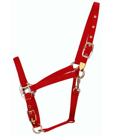Hamilton 3/4-Inch Nylon Arabian Horse Waller with Adjustable Chin and Throat Snap Average 800 to 1100 Pounds Red Average 800 To 1100 Pounds red
