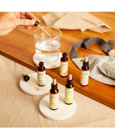 Bach Flower Remedies 1-38 Set - 20ml Bottles for Emotional Wellness - Buy Online on GoSupps.com