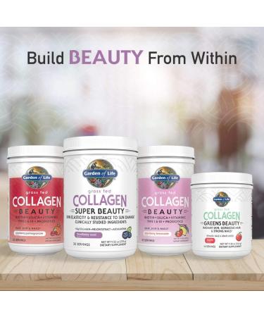 Garden of Life Grass Fed Collagen Super Beauty - Blueberry Acai 9.52 oz | High-Quality Collagen Supplement - Buy Online on GoSupps.com