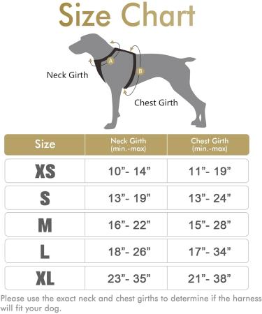 Rabbitgoo No-Pull Dog Harness for Small Dogs Adjustable Breathable Design Safe Control XS Size Ideal for Training & Comfort - Buy Online on GoSupps.com