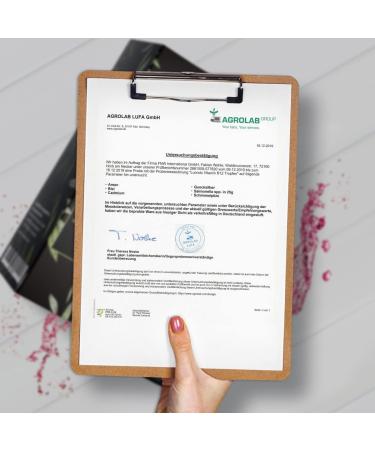 High Dose Vegan Vitamin B12 Drops - 50ml Alcohol-Free 1700 Drops with Adenosyl & Methylcobalamin - Buy Online on GoSupps.com