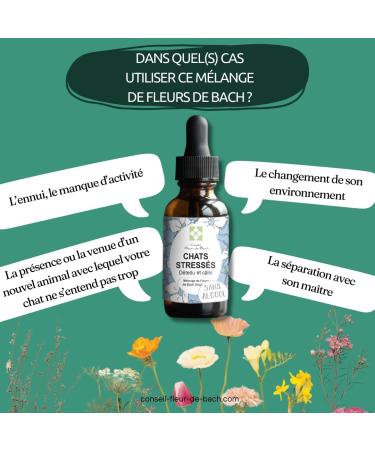 Bach Flower Advice - Bach Flowers Stressed Cat without Alcohol - A Blend That Will Help Your Cat Calm Down (30 ML) Pack of 2 - Buy Online on GoSupps.com