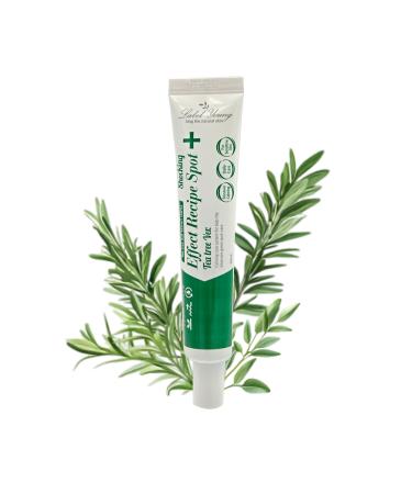 LABELYOUNG Shocking Effect Recipe Spot Cream Tea Tree 1.01 fl. oz (30 ml) Calming Acne Spot Treatment for Sensitive Skin K-Beauty