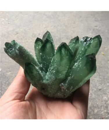 Home Decoration Green Ghost Phantom Quartz Crystal Cluster Rock Stones Crystals ReikiSpecimen Minerals ReikiChakra Stones ZJGIDTEM 400-500g - Buy Online on GoSupps.com