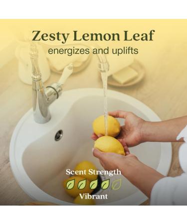 Enviroscent Non-Toxic Air Freshener - Lemon Leaf & Thyme Plug-In | 45+ Days of Home Fragrance | Refillable Essential Oil Set - Buy Online on GoSupps.com