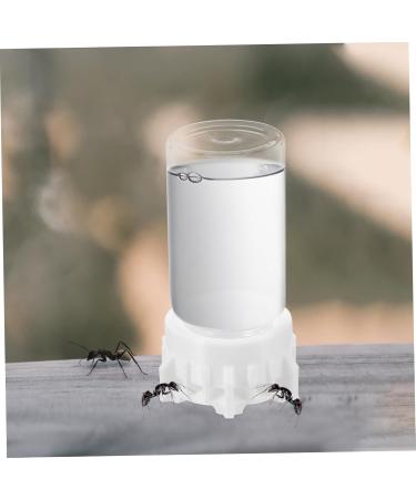 Minkissy Pet Water Feeder - Automatic Mini Ant Water Dispenser & Food Bowl for Small Ants - Ideal Ant Feeding System & Liquid Bottle Tool - Buy Online on GoSupps.com
