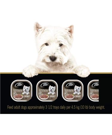 CESAR Filets in Sauce Wet Dog Food - New York Strip 100g (Pack of 24) Tray New York Strip 100 g (Pack of 24) - Buy Online on GoSupps.com