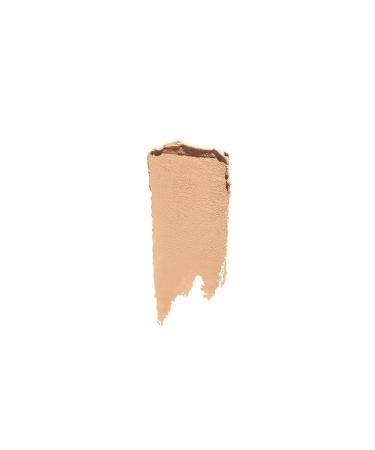Shiseido Synchro Skin Gelstick Concealer #201 - 2.5g | International Shipping Available - Buy Online on GoSupps.com