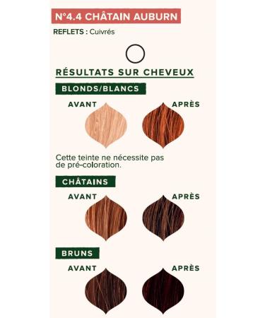 Emblica Organic Plant-Based Hair Color | No. 4.4 Warm Brown | Preservative-Free | Rich in Amla | 100 g - Buy Online on GoSupps.com