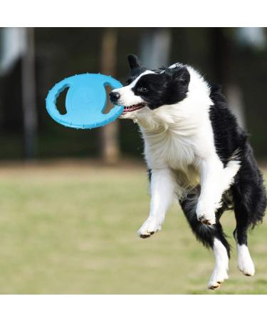 Skrtuan Dog Frisbee - Interactive Toy for Medium & Large Dogs | Squeaking & Water-Resistant | Perfect for Swimming & Playtime - Buy Online on GoSupps.com