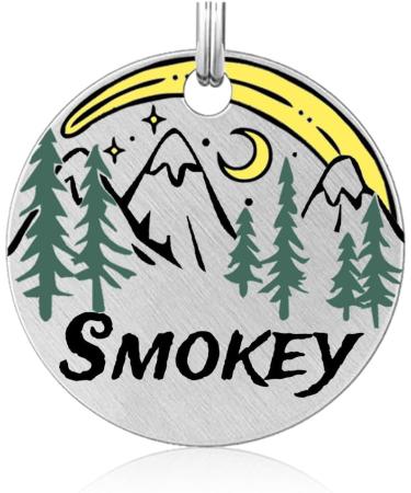 Personalized Stainless Steel Dog Tags | Engraved Pet ID Tags for Dogs & Cats | Custom Name Collars - Buy Online on GoSupps.com
