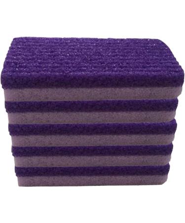 FRCOLOR 10 Pcs Traitement Grattoir Pied Pour Dissolvant De Peau Morte Pierre Pour Dissolvant De Pieds purateurs De purateur De Pieds Gommage Des Pieds Dissolvant De 1 unit (Lot de 1) - Buy Online on GoSupps.com