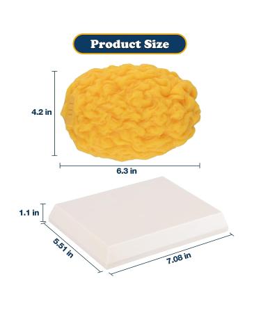 1 lb Human Body Fat Replica with Display Base - Ideal for Weight Loss Motivation & Nutrition Demonstrations - Buy Online on GoSupps.com