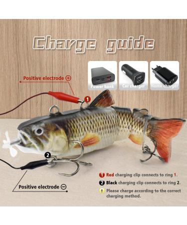 Luretron Electric Fish Luretron Fish Luretron Fish Lures Robotic Swimming Fishing Bait for Freshwater and Saltwater (#2) - Buy Online on GoSupps.com