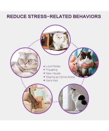 Pets4Luv Calming Collar for Cats - Anxiety Relief with Pheromone Technology - Adjustable & Waterproof - Suitable for Small, Medium, & Large Cats - Buy Online on GoSupps.com