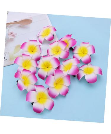 Angoily Hair Accessory for Girls Hair Clips for Girls Barrettes for Girls Hibiscus Flower Hair Clips Summer Hair Clips Accesorios Para Plumeria Hair Clip Hair Accessories The Flowers - Buy Online on GoSupps.com