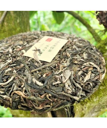 357g G teau de Bio Th Peacock Puer de Yunnan Banzhang Chine Original Th Puerh Naturel Th Pu'er sans Additif Bon Th Pu-Erh - Buy Online on GoSupps.com