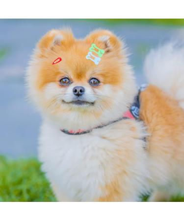 Yaodhaod 20 Pcs Cute Multi-Colored Dog Hair Accessories - Small Bone & Water Drop Hairpins for Dogs Cats & Pets - Buy Online on GoSupps.com