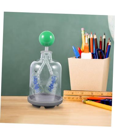 SOLUSTRE Lung Breathing Model - Human Body Organs Teaching Aid - Buy Online on GoSupps.com