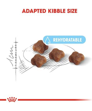 Royal Canin Dry Cat Food Mother & Baby 34 Complete Food 400 g 400 g (Pack of 1) - Buy Online on GoSupps.com