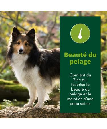 EQUILIBRE & INSTINCT - Adult Dog - Medium/Large Size - Poultry Kibble - Bone Strength - Complete Recipe Formulated with Veterinarians - 5kg - Made in France - Buy Online on GoSupps.com