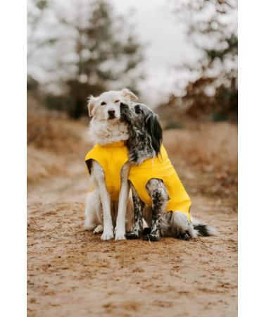 Shop Hunter Dog Raincoat in Milford Yellow - Size 50 | Best International Shipping - Buy Online on GoSupps.com