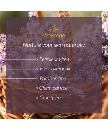Shop Waxelene Lavender Aerated Lip Balm Tin - 4 Piece | Nourishing Moisture for Lips - International Shipping Available - Buy Online on GoSupps.com