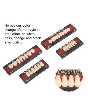 Premium Dental Care Tool - Synthetic Resin False Teeth for Natural-Looking Protheses | Ideal for Dentists - Buy Online on GoSupps.com