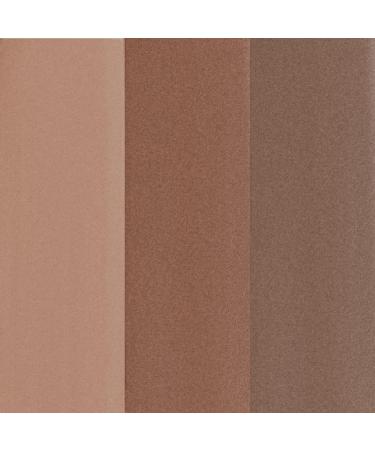 FOCALLURE 3 Pcs Shimmer Eyeshadow Stick Set - High Pigment, Waterproof, Crease-Proof Makeup (Oh So Nude) - Buy Online on GoSupps.com