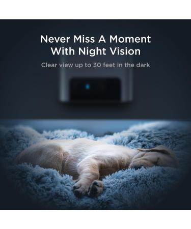 Petcube Bites 2 Lite - Interactive WiFi Pet Camera & Treat Dispenser with Sound Alerts - Buy Online on GoSupps.com