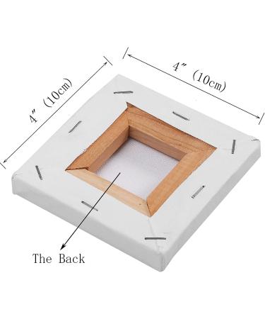 SL Crafts Mini Stretched Canvas 4x4 - 6 Pack of Mini Canvases - Buy Online on GoSupps.com