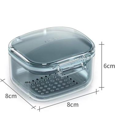 Retainer Cleaner Case & Prosthesis Bath - Leaf Proof Sporty Design Fits Dentures & Partial Dentures - Shop Internationally! - Buy Online on GoSupps.com