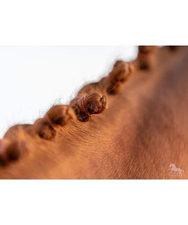 Animalon Mane Gum for Horses | Tear-Resistant Silicone Mane Accessories | 300 Pieces | Ideal for Horse Hairstyles and Grooming - Buy Online on GoSupps.com