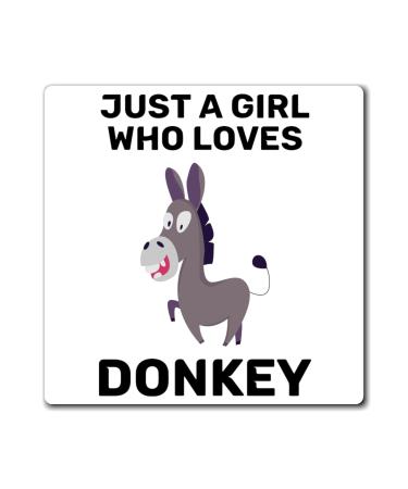 Hilarious Horseback Riding Horses Foal Donkey Enthusiast Humorous Racehorse Town Country Eohippus Lover Magnets 4" 4"