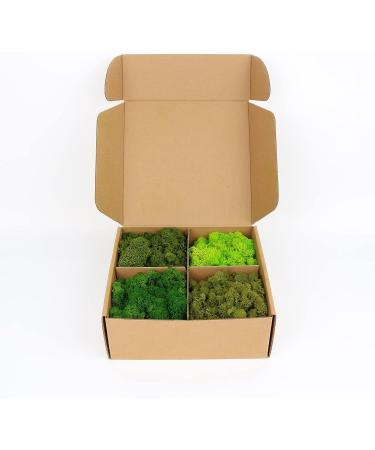 14OZ Preserved Reindeer Moss 4 Color Mix for Crafts & Decor - Forest Green/Yellow/Leaves/Grass Green - Home & Office Art - Buy Online on GoSupps.com