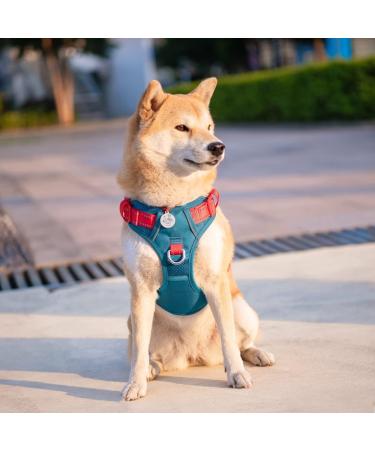Phoepet No Pull Dog Harness - Reflective Vest with Soft Training Handle for All Sizes - XL Blue-Green & Red - Buy Online on GoSupps.com