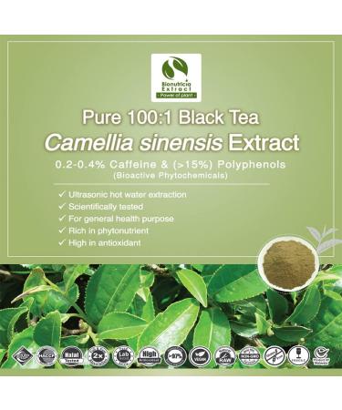 8x Black Tea (Camellia Sinensis) Standardized Extract Powder 0.2-0.4% Caffeine - Buy Online on GoSupps.com