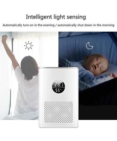 Indoor Mosquito Trap Flying Insect Killer Mosquito Trap Light Intelligent Light Sensor and Mosquito Trap Non-Toxic Non-Chemical - Buy Online on GoSupps.com