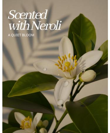 SOLDOVE Hand Soap Sheet Bundle 2 Packs (60 Sheets Total) + Refillable Glass Dispenser - Buy Online on GoSupps.com