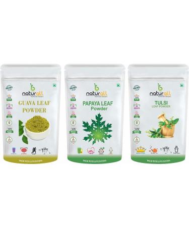 NENA Pack of 3 Tulsi Powder Papaya Leaf Powder Guava Leaf Powder (200 GM Each) Combo Pack 600 GM