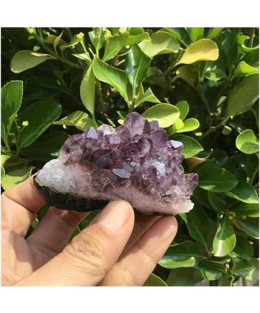 Room Decoration Natural Purple Quartz Crystal Amethyst Quartz Crystal Cluster Bulk Gift - Buy Online on GoSupps.com