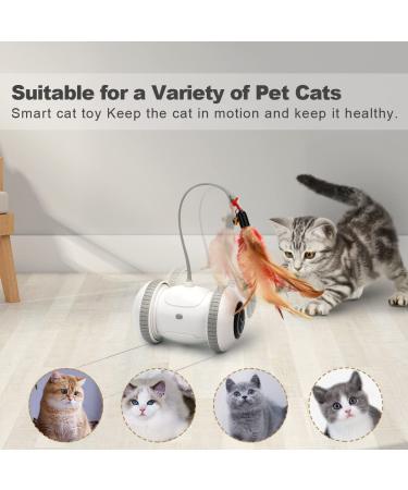 Nueplay Interactive Cat Toys with LED Light | Smart Electric Toy for Indoor Cats | USB Rechargeable Robotic Toy with Feathers | 2 Modes for Pet Exercise - Buy Online on GoSupps.com