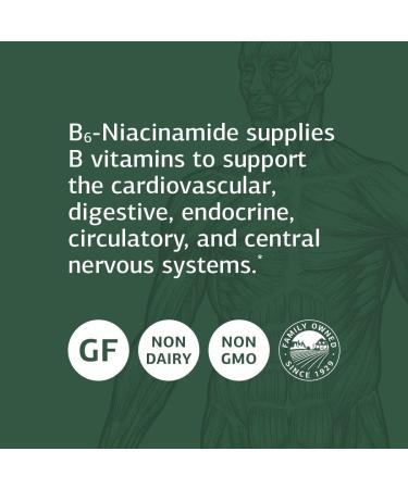 Standard Process B6-Niacinamide Supplement - Energy Metabolism, Heart Health & Digestion Support - Vitamin B6, Niacin, Ascorbic Acid, Reishi & Shiitake Mushroom - 90 Tablets - Buy Online on GoSupps.com